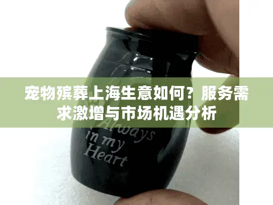 宠物殡葬上海生意如何？服务需求激增与市场机遇分析