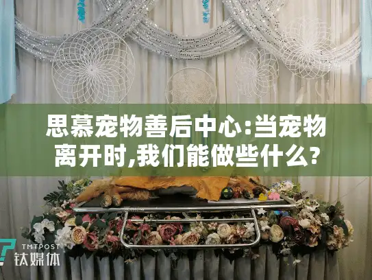 思慕宠物善后中心:当宠物离开时,我们能做些什么?