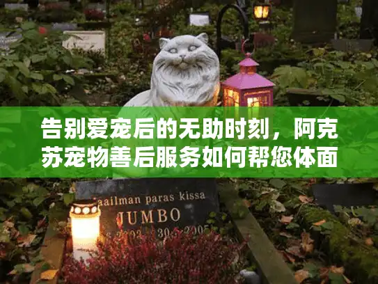 告别爱宠后的无助时刻，阿克苏宠物善后服务如何帮您体面送别？