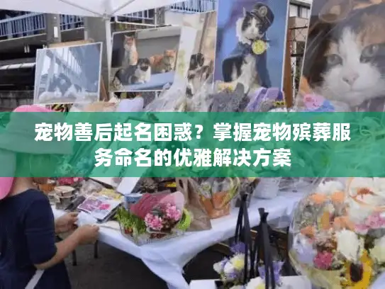 宠物善后起名困惑？掌握宠物殡葬服务命名的优雅解决方案