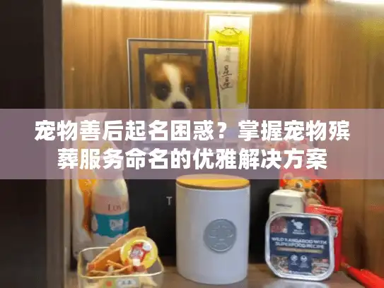 宠物善后起名困惑？掌握宠物殡葬服务命名的优雅解决方案