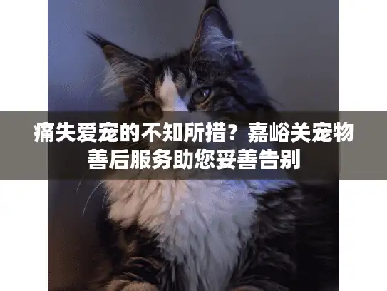 痛失爱宠的不知所措？嘉峪关宠物善后服务助您妥善告别