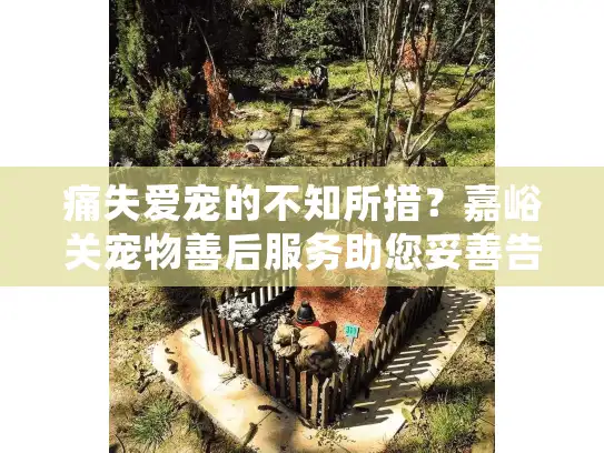 痛失爱宠的不知所措？嘉峪关宠物善后服务助您妥善告别