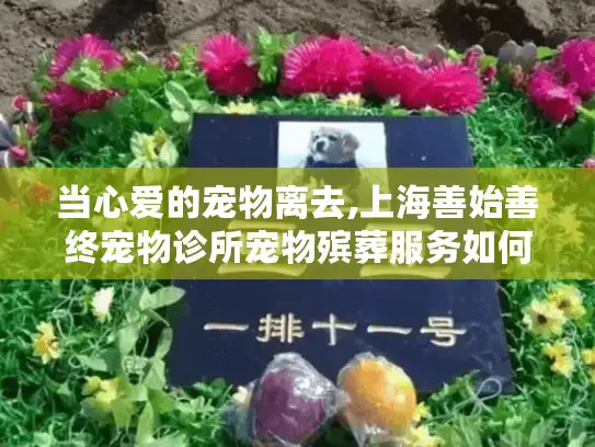 当心爱的宠物离去,上海善始善终宠物诊所宠物殡葬服务如何帮助您?