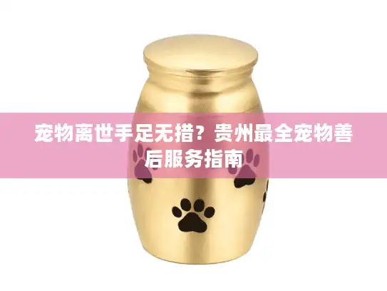 宠物离世手足无措？贵州最全宠物善后服务指南