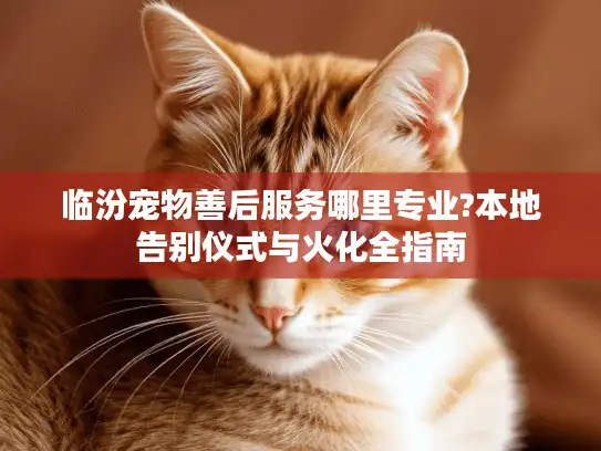 临汾宠物善后服务哪里专业?本地告别仪式与火化全指南
