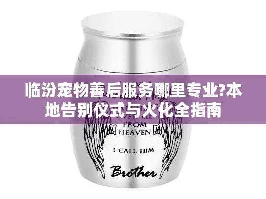 临汾宠物善后服务哪里专业?本地告别仪式与火化全指南