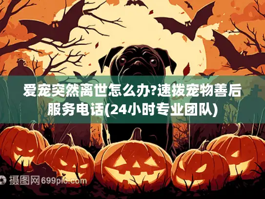 爱宠突然离世怎么办?速拨宠物善后服务电话(24小时专业团队)