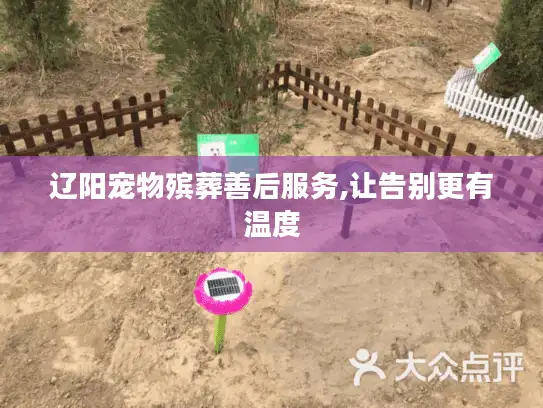 辽阳宠物殡葬善后服务,让告别更有温度