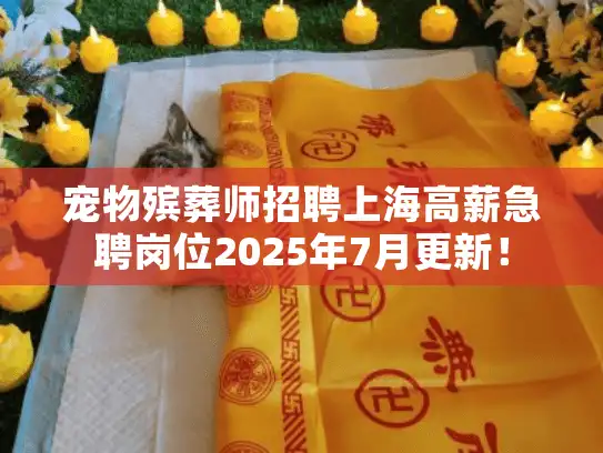 宠物殡葬师招聘上海高薪急聘岗位2025年7月更新！