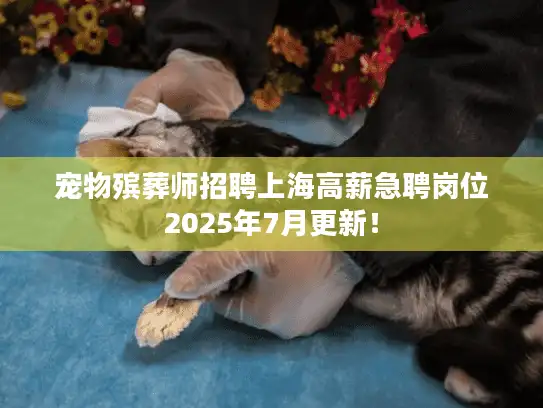 宠物殡葬师招聘上海高薪急聘岗位2025年7月更新！