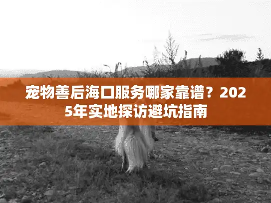 宠物善后海口服务哪家靠谱？2025年实地探访避坑指南