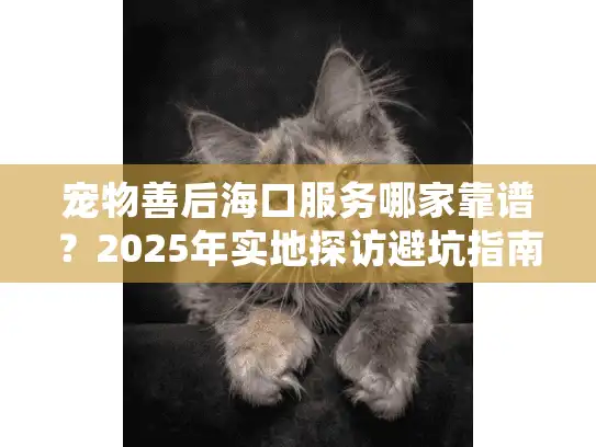 宠物善后海口服务哪家靠谱？2025年实地探访避坑指南