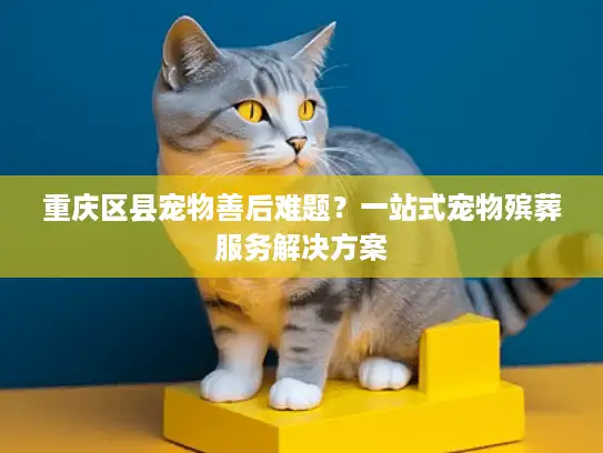 重庆区县宠物善后难题？一站式宠物殡葬服务解决方案