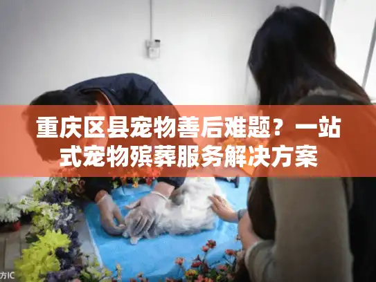 重庆区县宠物善后难题？一站式宠物殡葬服务解决方案