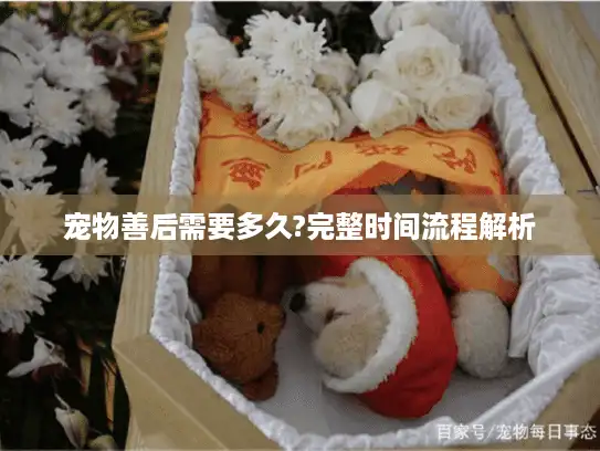 宠物善后需要多久?完整时间流程解析