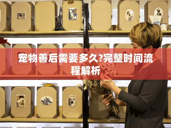 宠物善后需要多久?完整时间流程解析