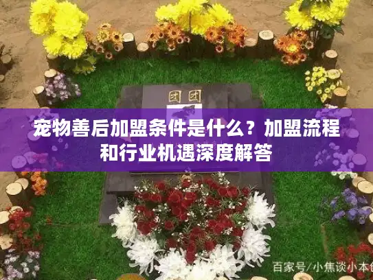 宠物善后加盟条件是什么？加盟流程和行业机遇深度解答