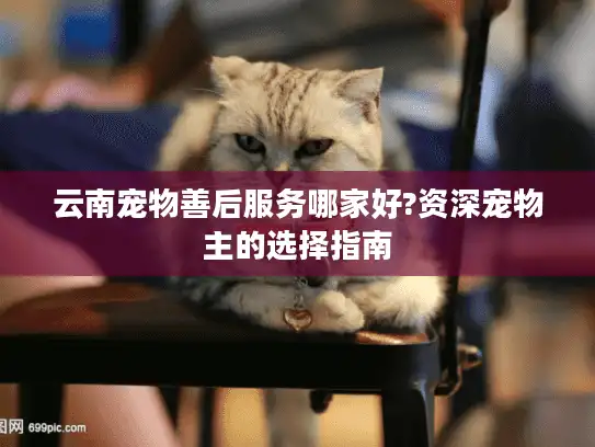 云南宠物善后服务哪家好?资深宠物主的选择指南