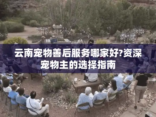 云南宠物善后服务哪家好?资深宠物主的选择指南