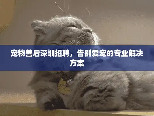 宠物善后深圳招聘，告别爱宠的专业解决方案