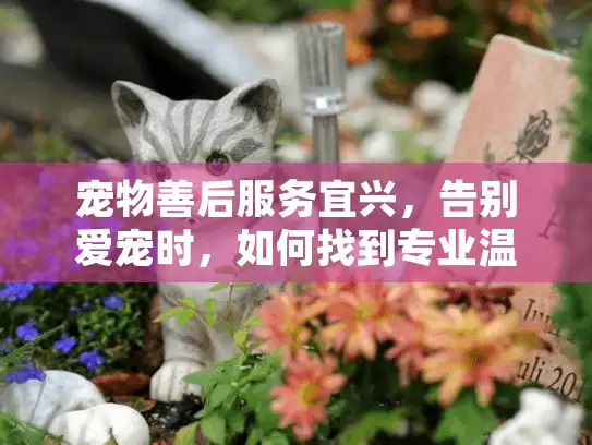 宠物善后服务宜兴，告别爱宠时，如何找到专业温暖的归宿方案？