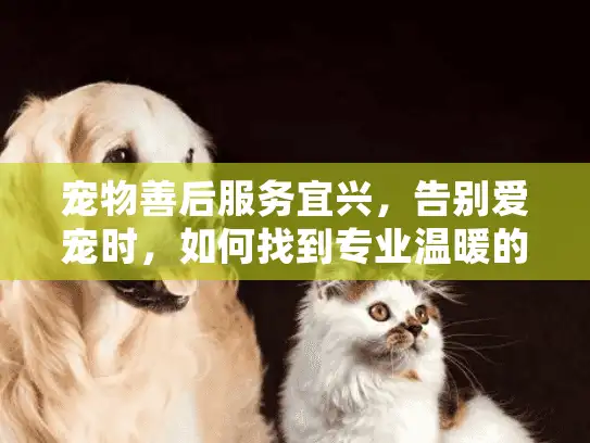 宠物善后服务宜兴，告别爱宠时，如何找到专业温暖的归宿方案？