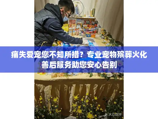 痛失爱宠您不知所措？专业宠物殡葬火化善后服务助您安心告别