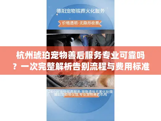 杭州琥珀宠物善后服务专业可靠吗？一次完整解析告别流程与费用标准