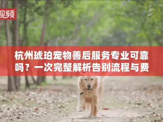 杭州琥珀宠物善后服务专业可靠吗？一次完整解析告别流程与费用标准