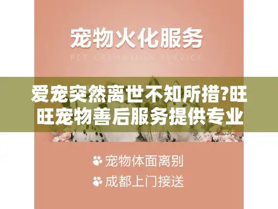 爱宠突然离世不知所措?旺旺宠物善后服务提供专业告别方案