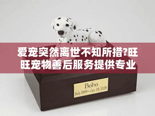 爱宠突然离世不知所措?旺旺宠物善后服务提供专业告别方案