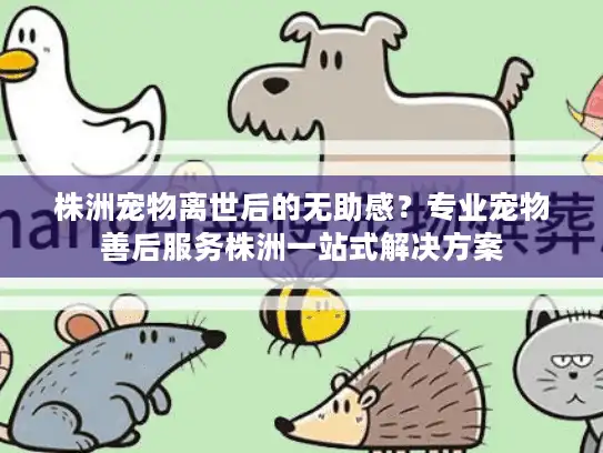 株洲宠物离世后的无助感？专业宠物善后服务株洲一站式解决方案