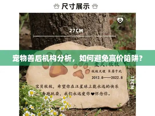 宠物善后机构分析，如何避免高价陷阱？