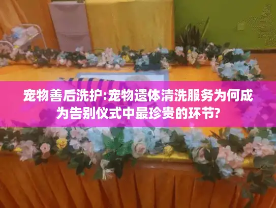 宠物善后洗护:宠物遗体清洗服务为何成为告别仪式中最珍贵的环节?