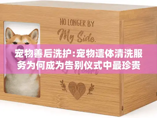 宠物善后洗护:宠物遗体清洗服务为何成为告别仪式中最珍贵的环节?
