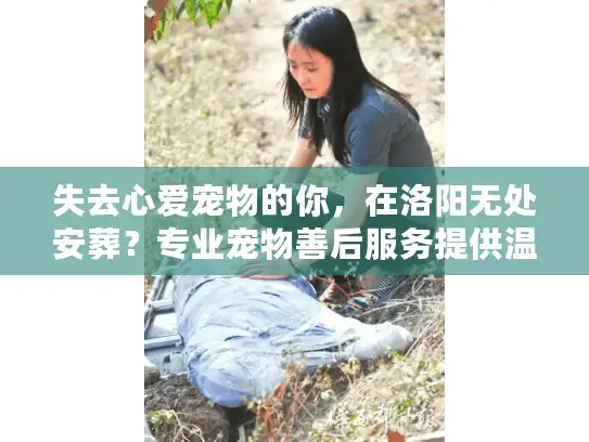 失去心爱宠物的你，在洛阳无处安葬？专业宠物善后服务提供温暖支持