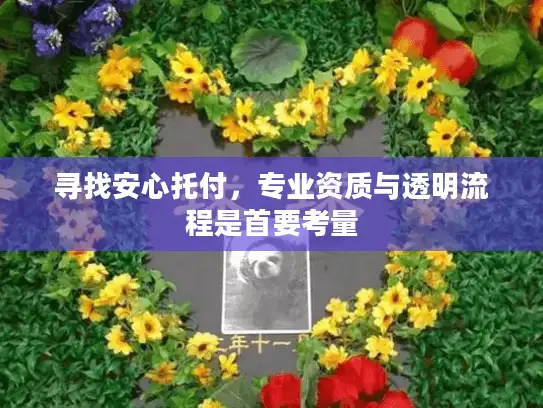 寻找安心托付，专业资质与透明流程是首要考量