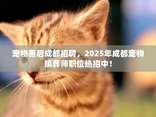 宠物善后成都招聘，2025年成都宠物殡葬师职位热招中！