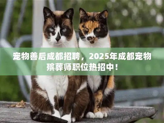 宠物善后成都招聘，2025年成都宠物殡葬师职位热招中！