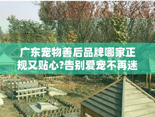 广东宠物善后品牌哪家正规又贴心?告别爱宠不再迷茫无助