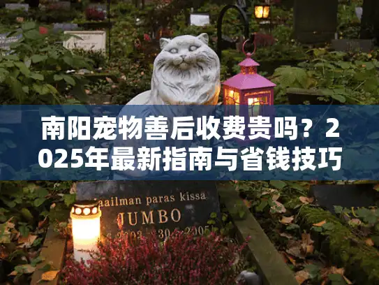 南阳宠物善后收费贵吗？2025年最新指南与省钱技巧