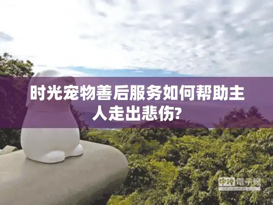 时光宠物善后服务如何帮助主人走出悲伤?