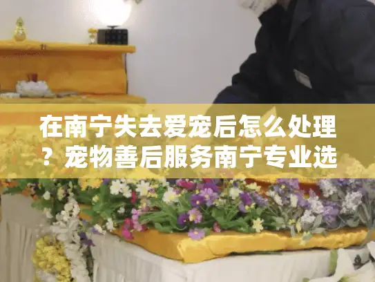 在南宁失去爱宠后怎么处理？宠物善后服务南宁专业选择指南