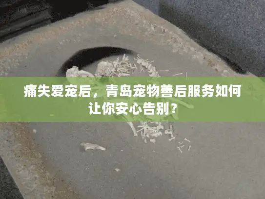 痛失爱宠后，青岛宠物善后服务如何让你安心告别？