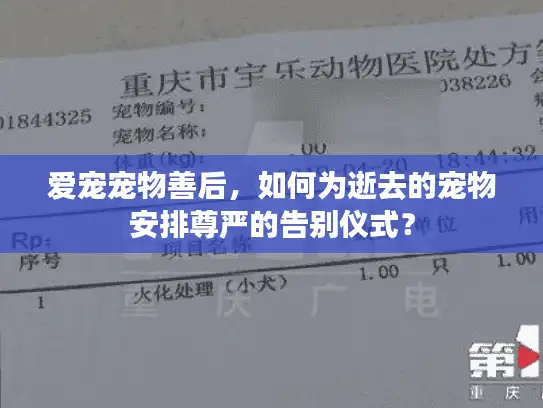 爱宠宠物善后，如何为逝去的宠物安排尊严的告别仪式？