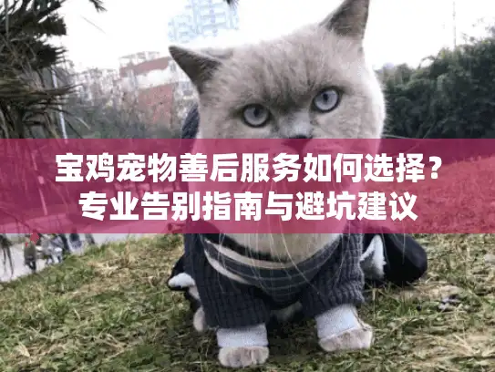 宝鸡宠物善后服务如何选择？专业告别指南与避坑建议