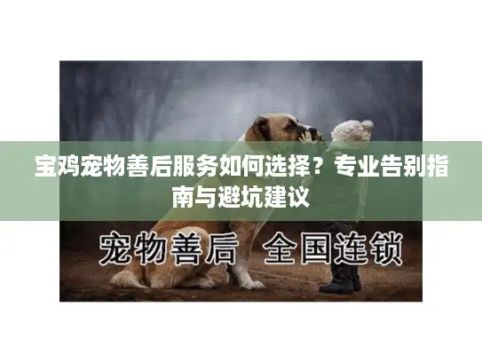 宝鸡宠物善后服务如何选择？专业告别指南与避坑建议