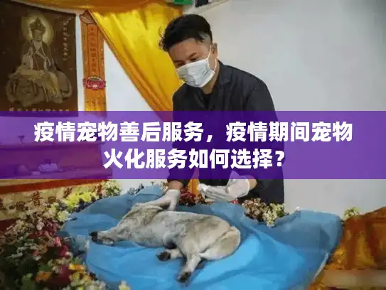 疫情宠物善后服务，疫情期间宠物火化服务如何选择？