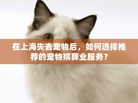 在上海失去宠物后，如何选择推荐的宠物殡葬业服务？